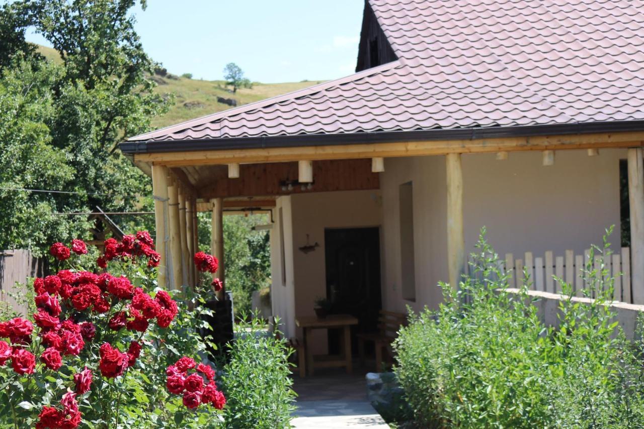 Villa Shamakhyan Dilidżan Zewnętrze zdjęcie