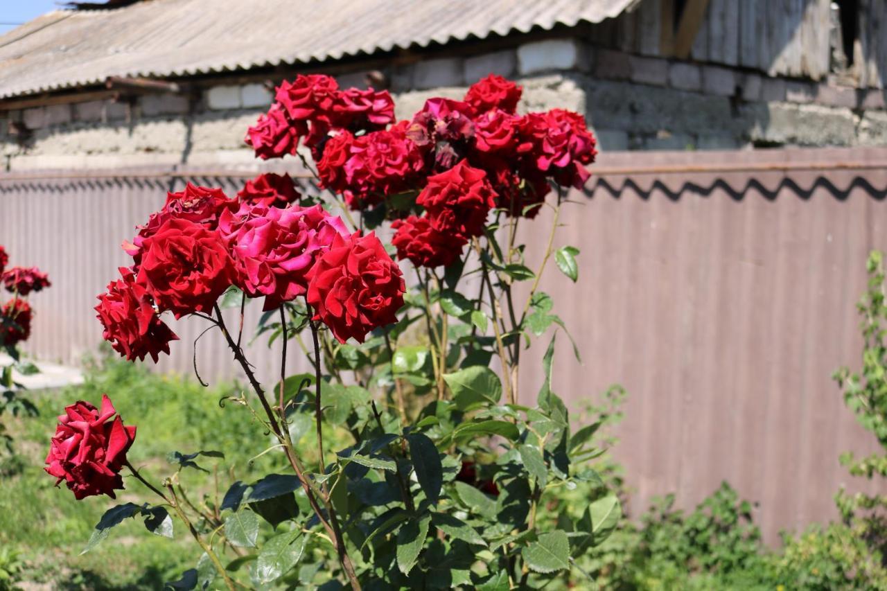 Villa Shamakhyan Dilidżan Zewnętrze zdjęcie