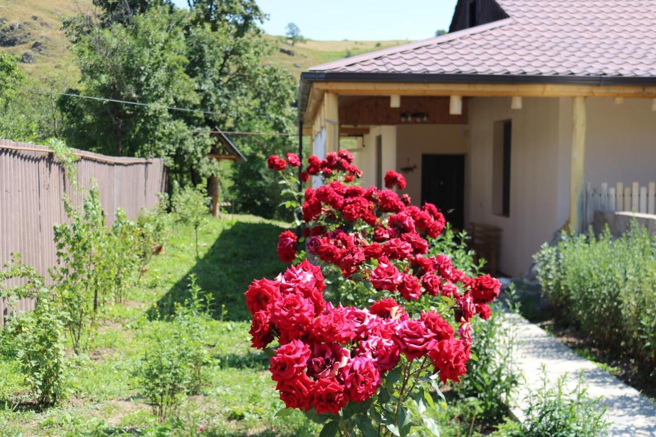 Villa Shamakhyan Dilidżan Zewnętrze zdjęcie