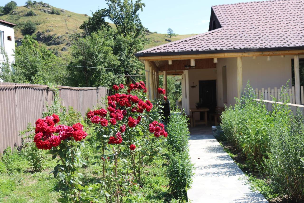 Villa Shamakhyan Dilidżan Zewnętrze zdjęcie